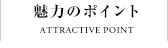 魅力のポイント